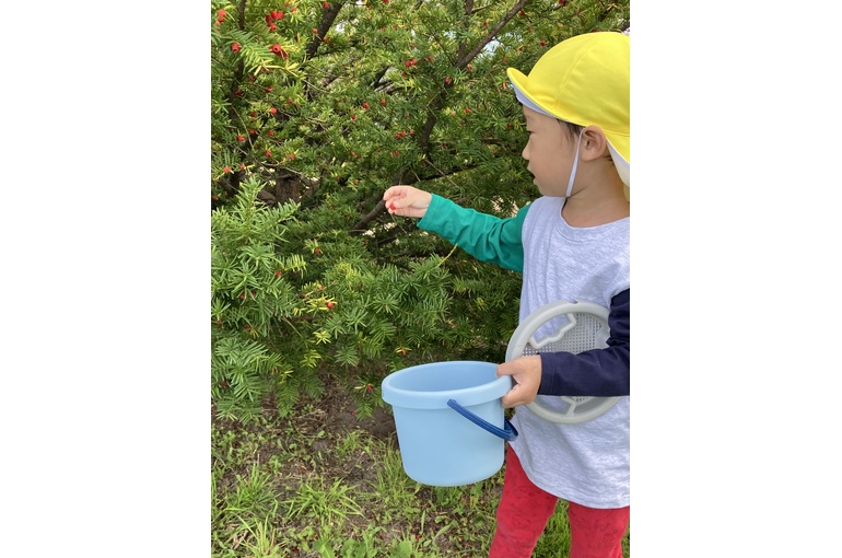 木の実さがし②