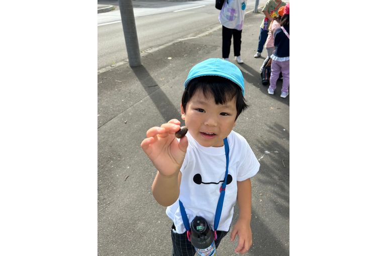 どんぐり　見つけた