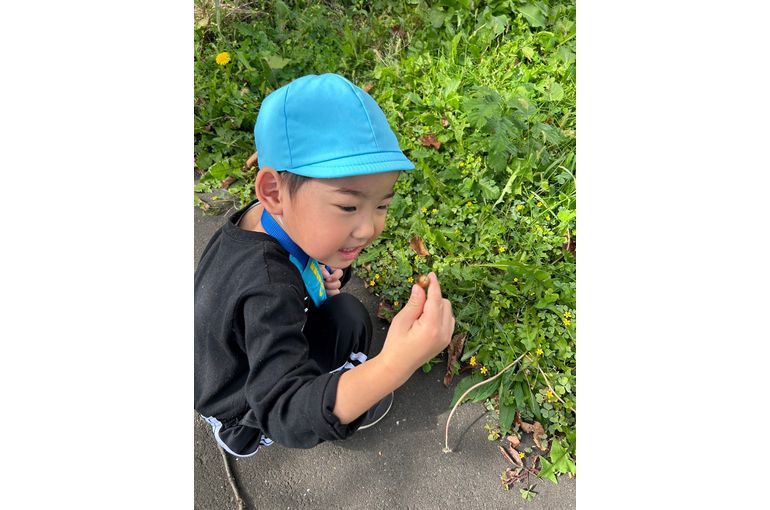 どんぐり　見つけた