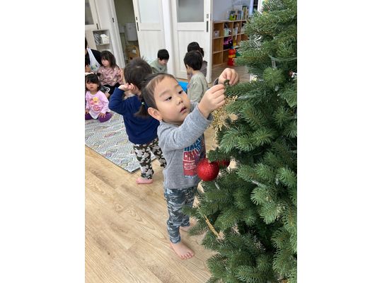 クリスマス　ツリー　飾り