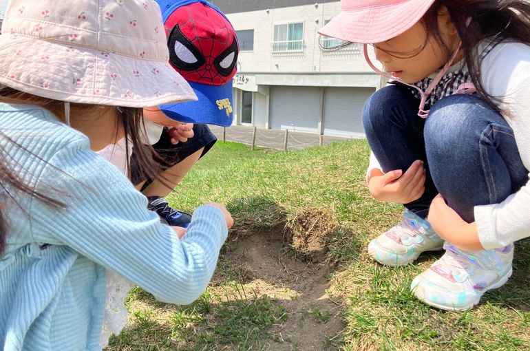 北海道　野幌　保育園　アリさん　探し　様子