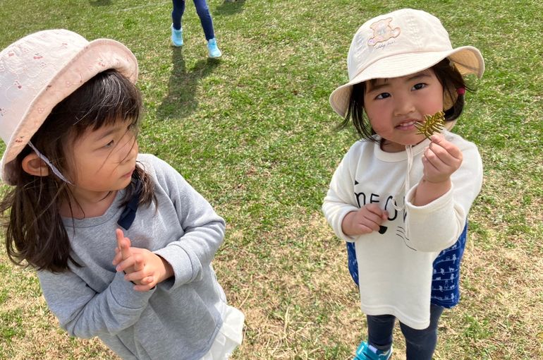 北海道　野幌　保育園　葉っぱ　探し　様子