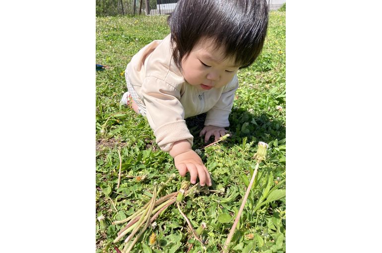 草花を触る子供②