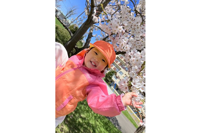 桜　保育園　函館