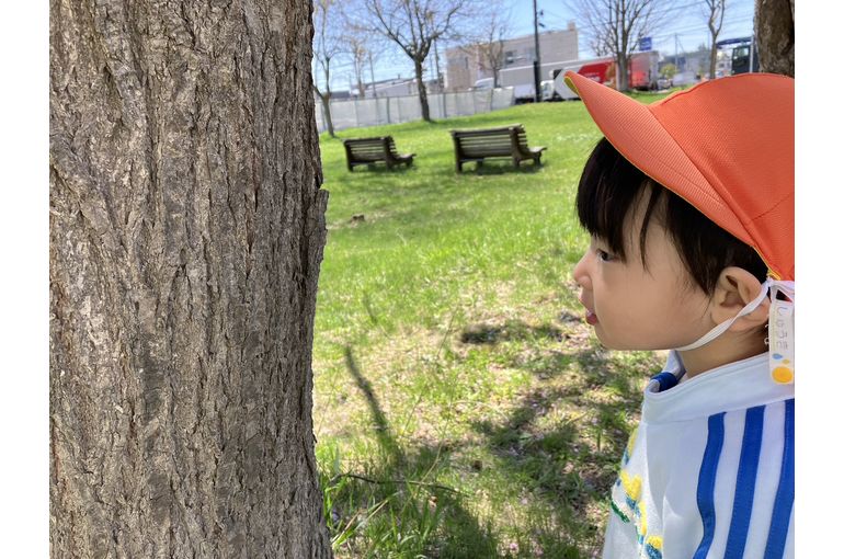 木を見つめる子　幼児