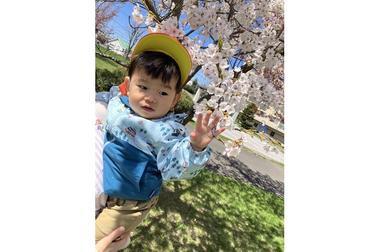 桜　幼児　保育園