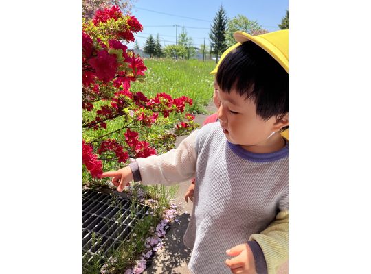 赤いつつじを持つこども