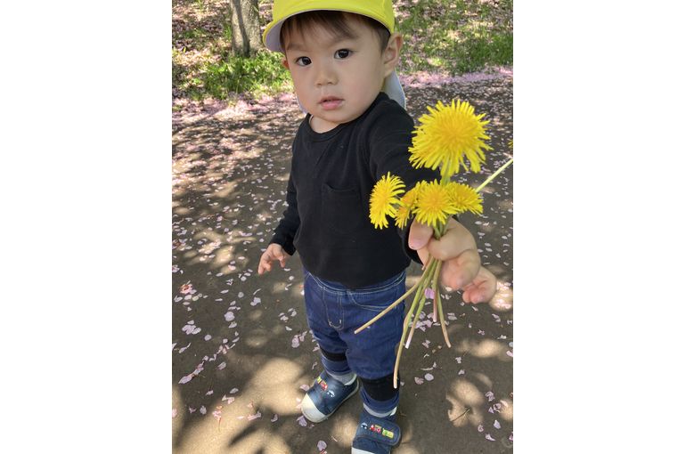黄色いタンポポを持つ子供
