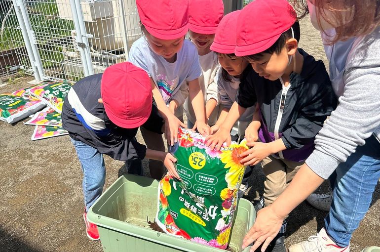 北海道　札幌　江別　保育園　野菜植え　様子
