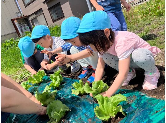 江別　保育園　畑