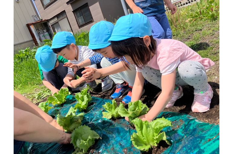 江別　保育園　畑