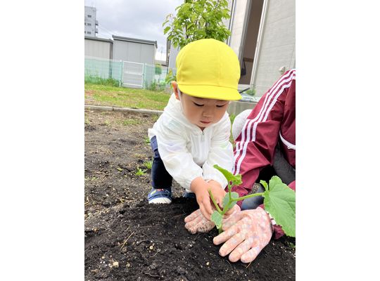 田植えをする子ども①