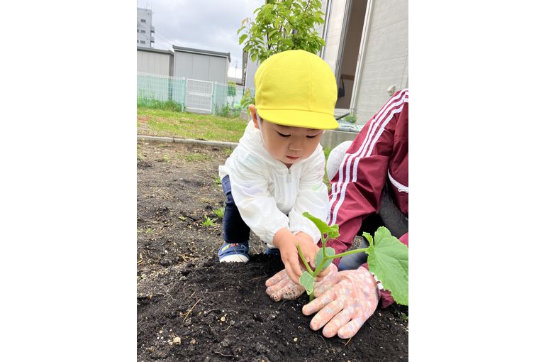 田植えをする子ども①
