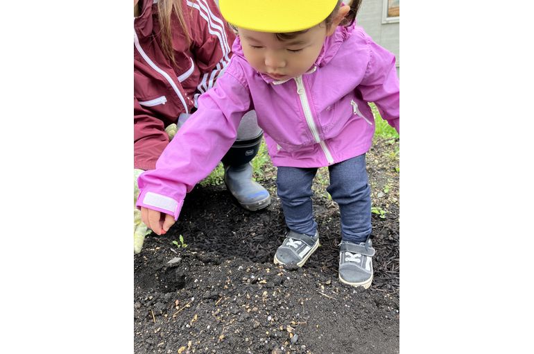 田植えをする子ども③