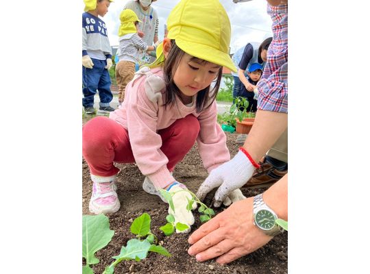 保育園　札幌　畑