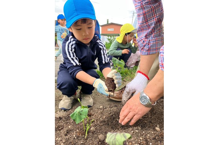保育園　幼児　野外　札幌