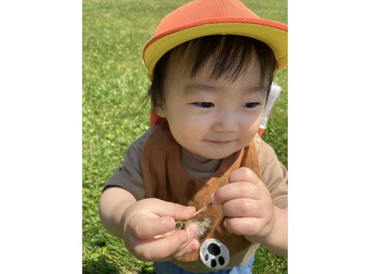 お花摘み　子ども　公園　散歩