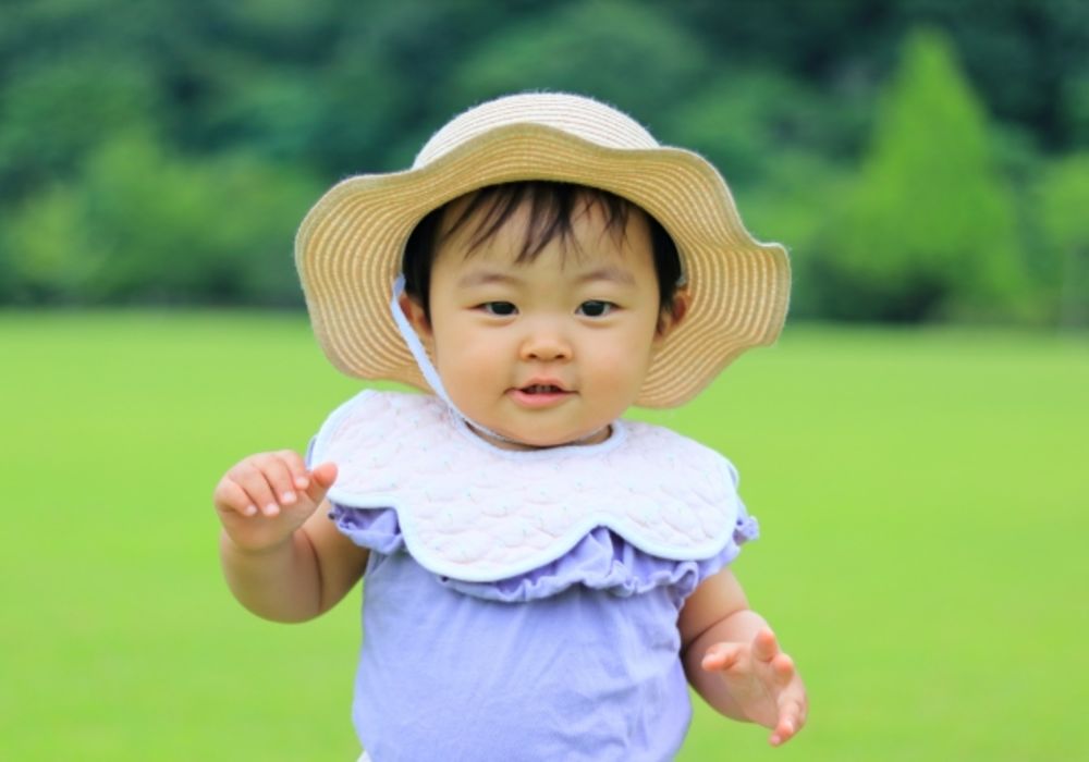 札幌市,保育園,認可保育園,企業主導型保育園,函館市,江別市