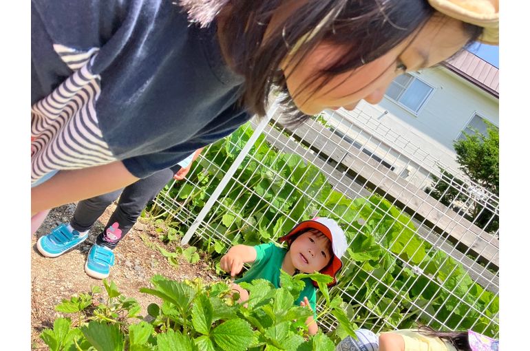 保育園　畑　江別　