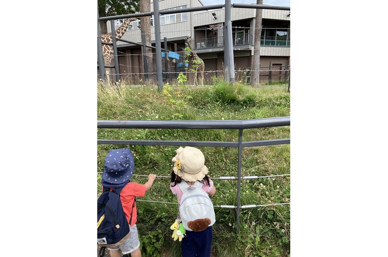 キリン見るこどもたち