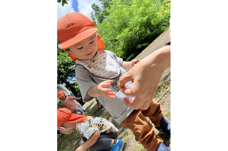 北海道　元江別　保育園　どんぐり拾い　様子