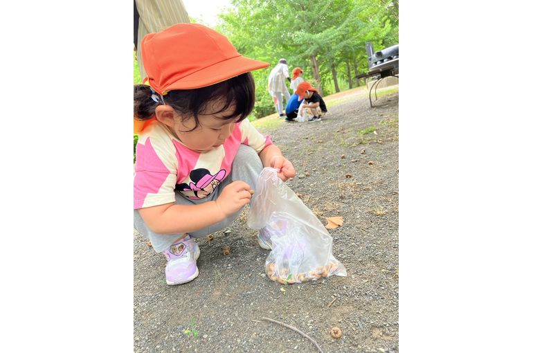 北海道　元江別　保育園　どんぐり　拾い　女の子　様子
