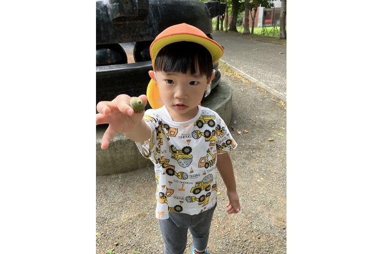 北海道　元江別　保育園　赤ちゃん　どんぐり　発見