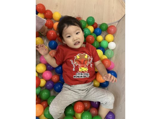 江別　保育園　ボールプール