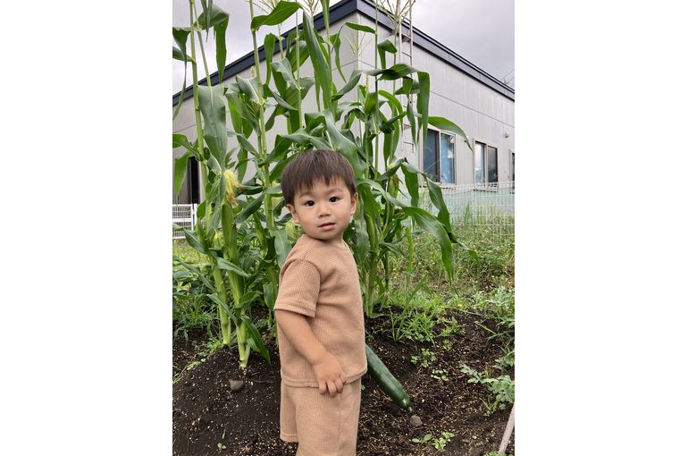 札幌保育園　GEADあおぞらこども園　きゅうり
