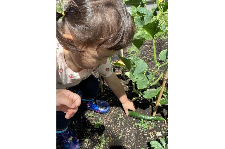 GEADあおぞらこども園　畑　