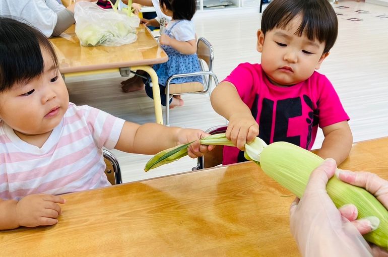 札幌市　厚別　保育園　とうきび　皮むき　子どもたち　様子