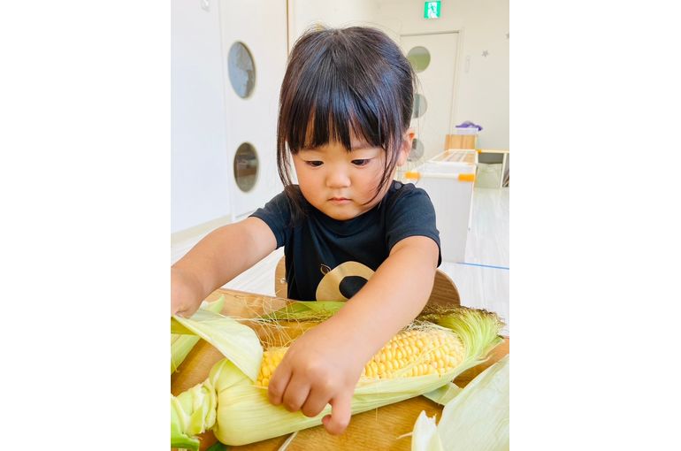 札幌市　厚別　保育園　とうもろこし　皮むき　女の子　様子