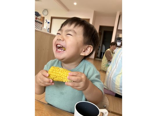 函館　保育園　とうもろこし