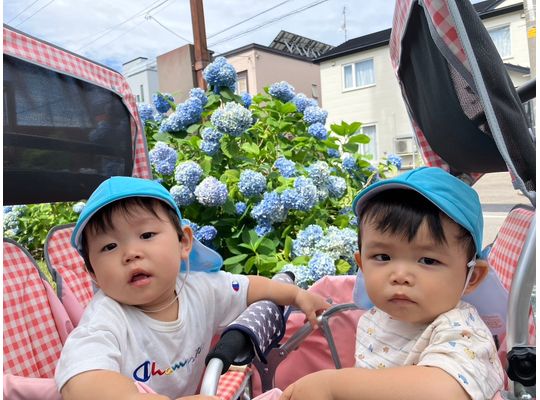 カートでお散歩する園児