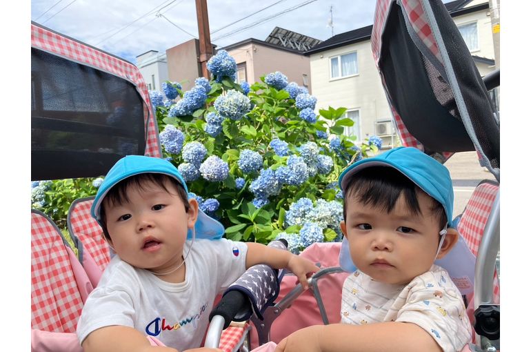 カートでお散歩する園児