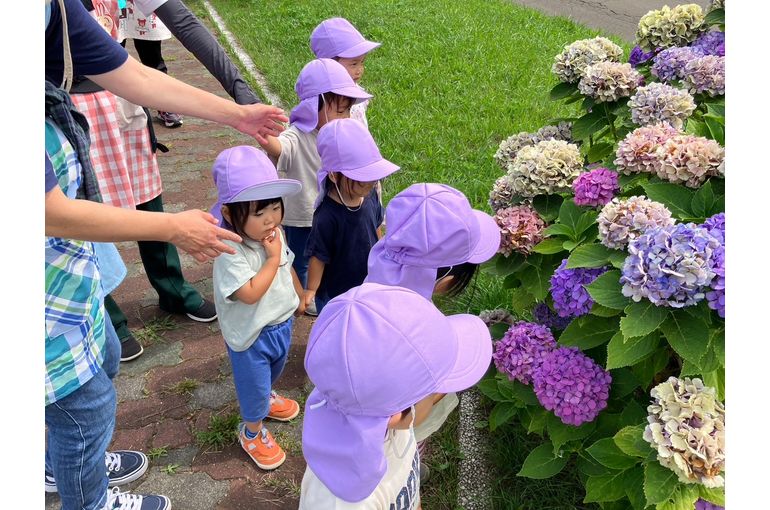興味津々で紫陽花を見る園児