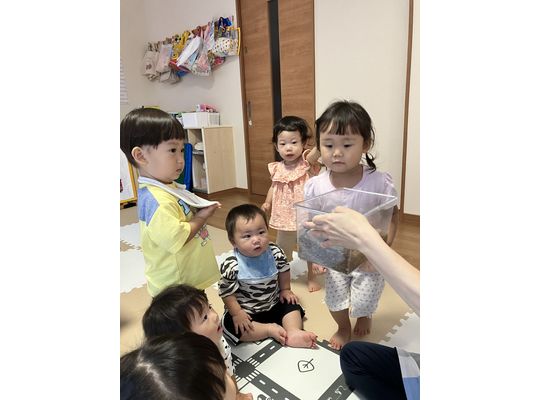 函館　保育園　クワガタ観察