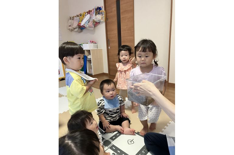 函館　保育園　クワガタ観察