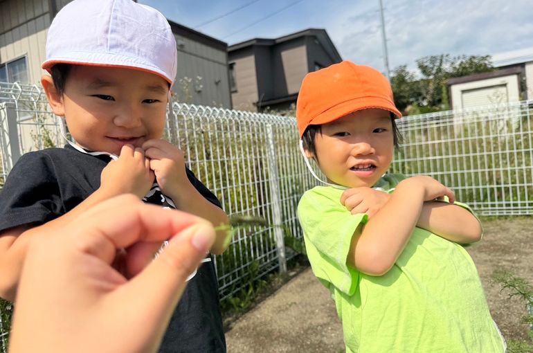 札幌保育園　GEADあおぞらこども園　ミニキャロット