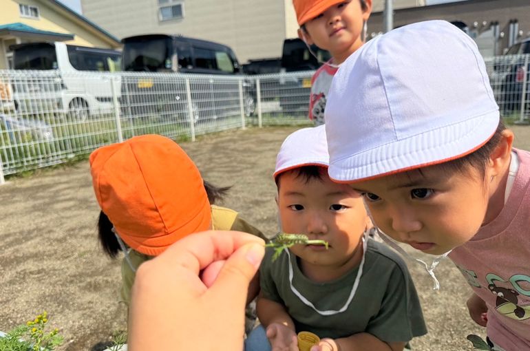 札幌保育園　GEADあおぞらこども園　ミニキャロット