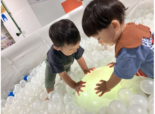 函館　保育園　戸外　公園