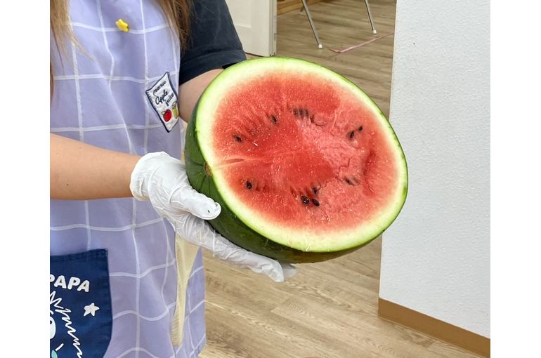 収穫したスイカ