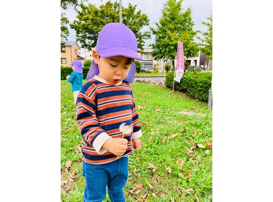 綿毛を飛ばすこども