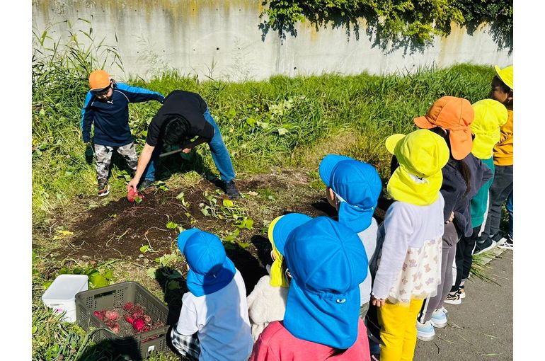札幌　保育園　園庭　収穫