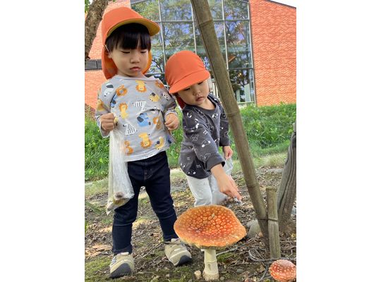 江別市　元江別園　　保育園　秋