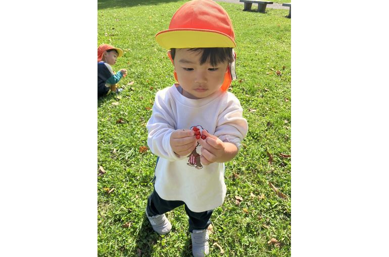 江別市　保育園　木の実　ゲット　園児