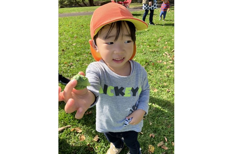 江別市　元江別　保育園　男の子　緑のもの　野菜　クイズ