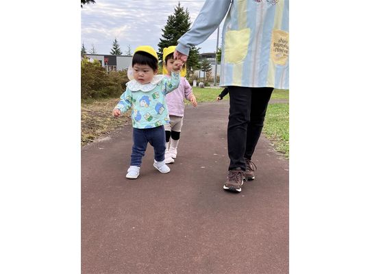 函館市　保育園　手を繋いで　お散歩　様子