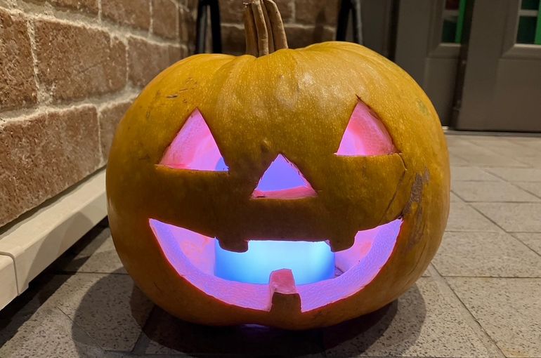 江別　保育園　かぼちゃ　完成　ライトアップ