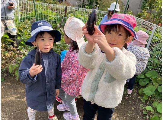 江別市　野幌　保育園　野菜　収穫